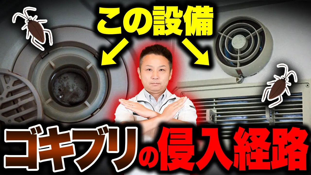 【9割が知らない】対策しないとゴキブリだらけ！？絶対抑えて欲しい害虫発生の条件！【住宅設備】 アイチャッチ